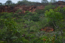 MA_834_F3_pan