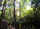 MG_610_F3_pan