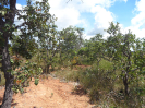 MG_718_F3_pan