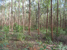 MG_766_F3_pan