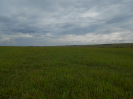 MS_163_F5_2