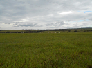 MS_163_F5_3