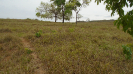 MS_170_F3_pan
