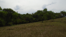 MS_170_F5_4