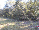 MS_192_F3_pan