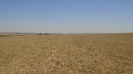MS_199_F5_4
