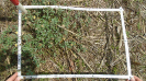 MS_204_F9_4_10