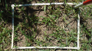 MS_224_F9_4_2