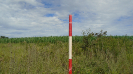 MS_225_F5_4