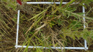 MS_225_F9_1_10