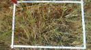 MS_225_F9_2_10