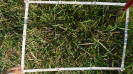 MS_262_F9_2_9