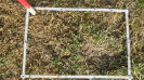 MS_262_F9_3_10