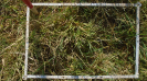 MS_262_F9_3_1