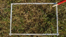 MS_262_F9_3_2
