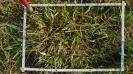 MS_262_F9_4_10