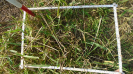 MS_262_F9_4_1