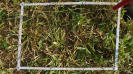 MS_262_F9_4_2