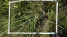 MS_263_F9_2_9