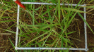 MS_264_F9_3_10