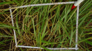 MS_264_F9_3_2