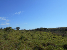 MS_265_F3_pan