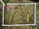 MS_265_F9_2_10