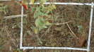 MS_266_F9_3_10