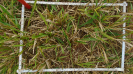 MS_266_F9_4_10
