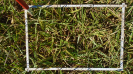 MS_267_F9_2_10
