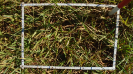 MS_267_F9_2_9