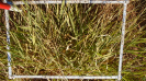 MS_267_F9_3_10