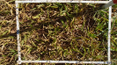 MS_267_F9_4_2