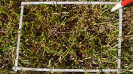 MS_267_F9_4_9