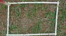 MS_271_F9_4_10