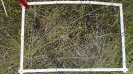 MS_314_F9_4_10