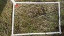MS_314_F9_4_1
