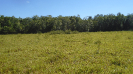 MS_337_F3_pan