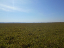 MS_381_F5_2
