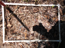 MS_386_F9_1_10
