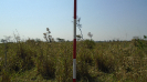 MS_439_F3_pan