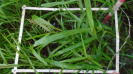 MS_449_F9_2_9