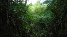 MS_484_F5_4