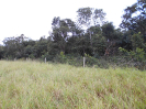 MS_491_F3_pan