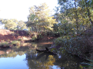 MS_492_F3_pan