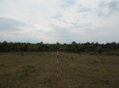 MS_505_F3_pan