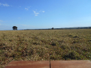 MS_528_F3_pan