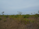 MS_542_F5_4