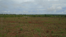 MS_546_F3_pan