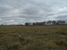 MS_560_F3_pan